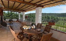 Nit i Dia Guest House